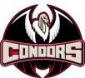 Condors